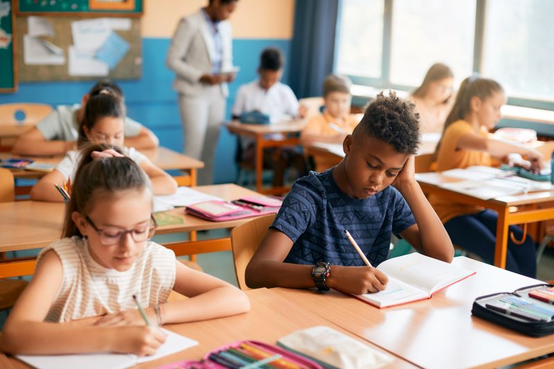 transferência escolar​