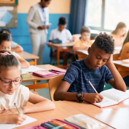 transferência escolar​